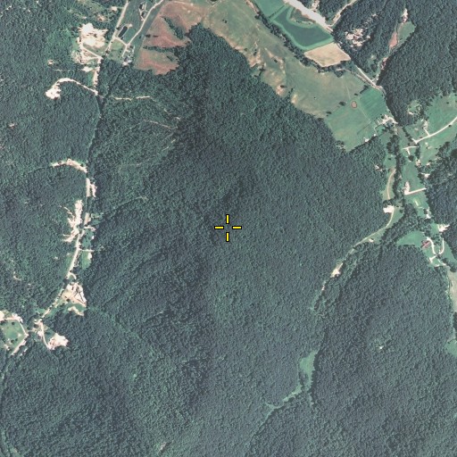 Aerial/Satellite Image of Toler Mountain, KY