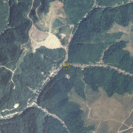 Aerial/Satellite Image of Tom Biggs Branch, KY