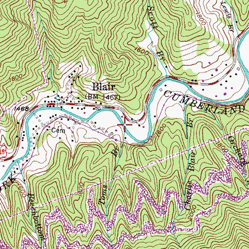 Topographic Map of Toms Branch, KY