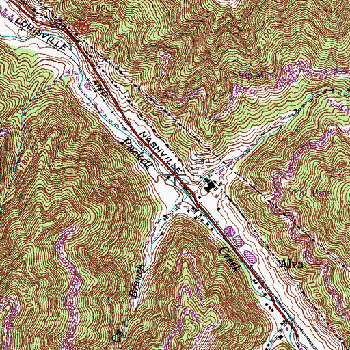 Topographic Map of Toms Branch, KY