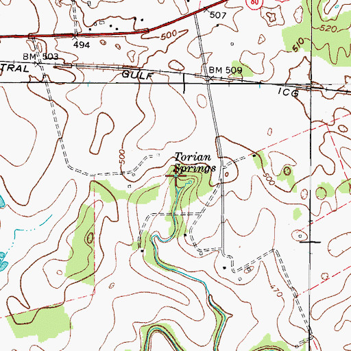 Topographic Map of Torian Springs, KY