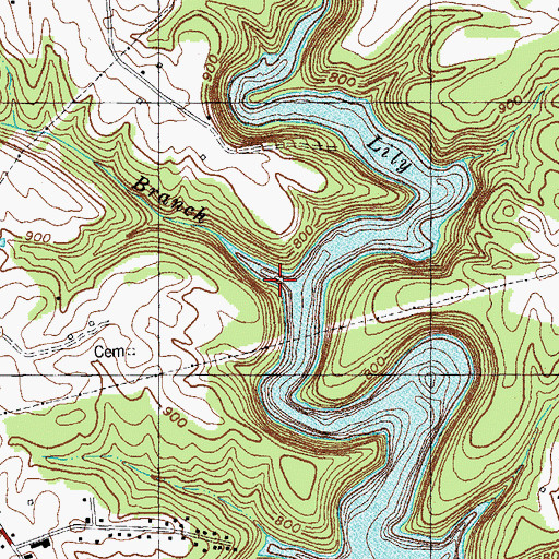 Topographic Map of Town Branch, KY