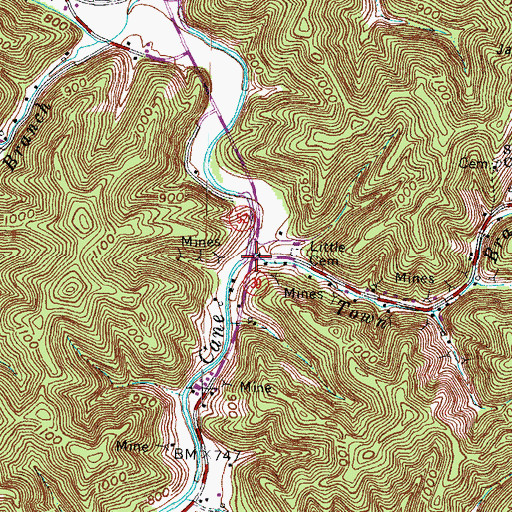 Topographic Map of Town Branch, KY