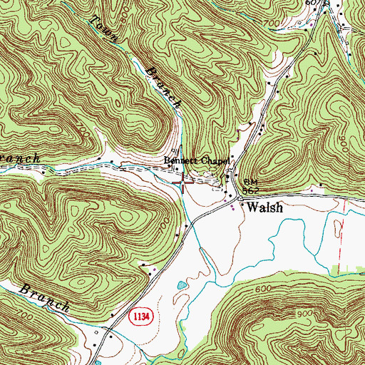 Topographic Map of Town Branch, KY