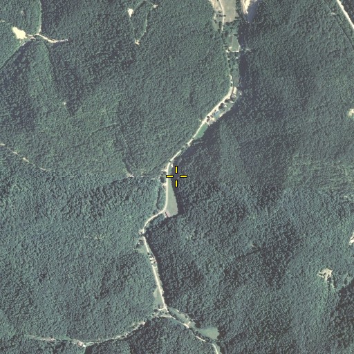 Aerial/Satellite Image of Trace Branch, KY
