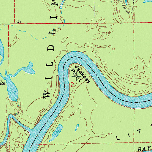 Topographic Map of Jackass Point, AR