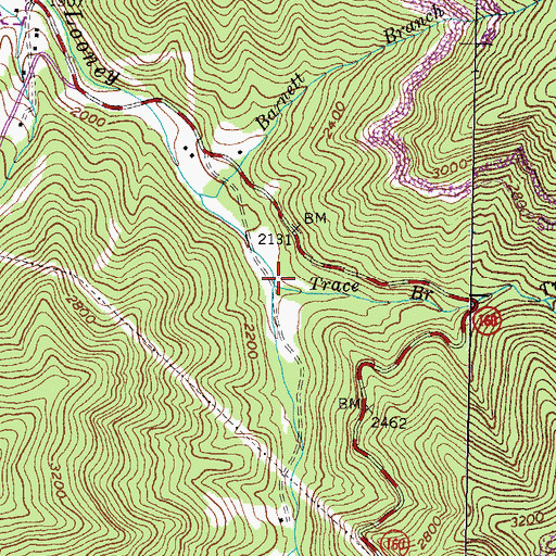 Topographic Map of Trace Branch, KY