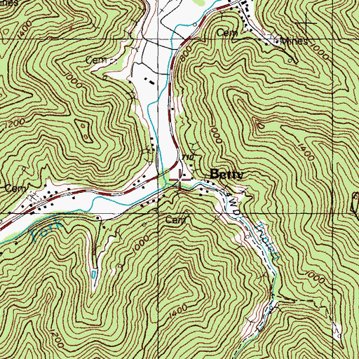 Topographic Map of Triplett Branch, KY