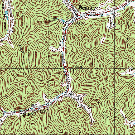 Topographic Map of Triplett Cemetery, KY