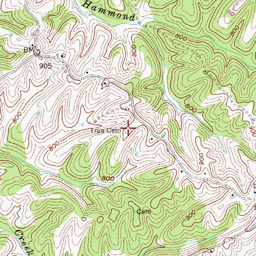 Topographic Map of True Cemetery, KY