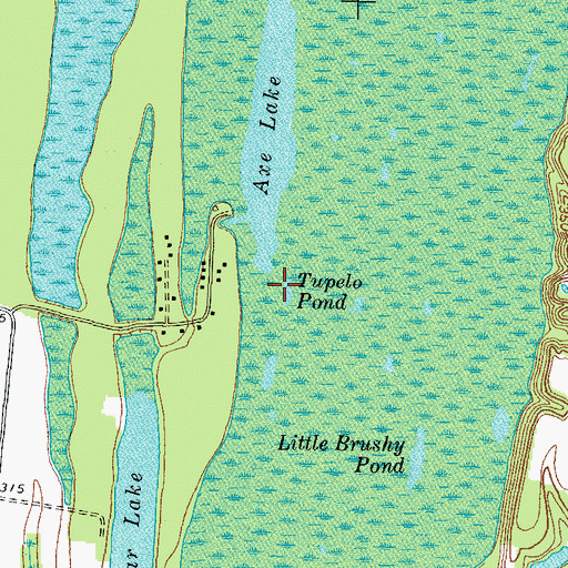 Topographic Map of Tupelo Pond, KY