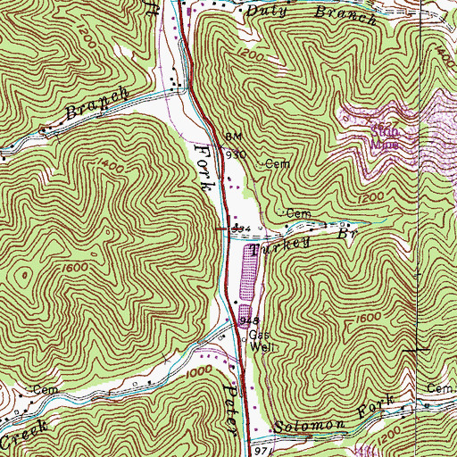 Topographic Map of Turkey Branch, KY