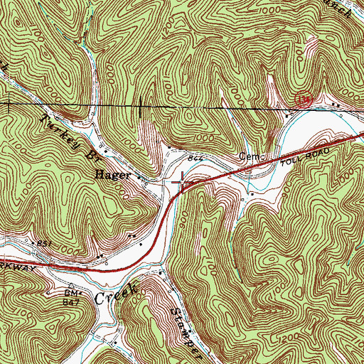 Topographic Map of Turkey Branch, KY