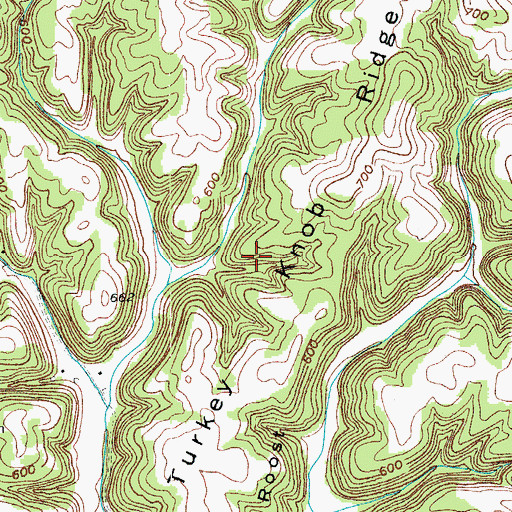 Topographic Map of Turkey Knob Ridge, KY