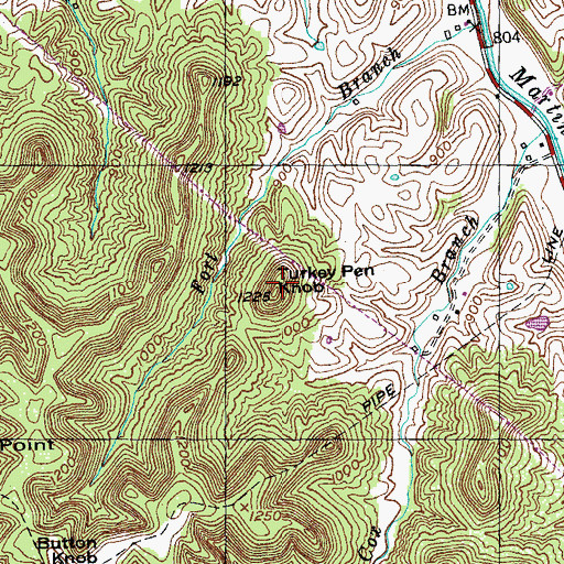 Topographic Map of Turkey Pen Knob, KY