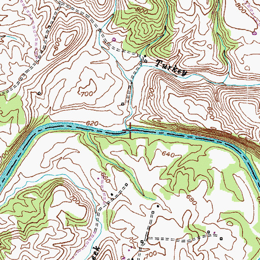 Topographic Map of Turkey Run, KY
