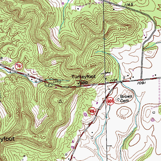 Topographic Map of Turkeyfoot Gap, KY