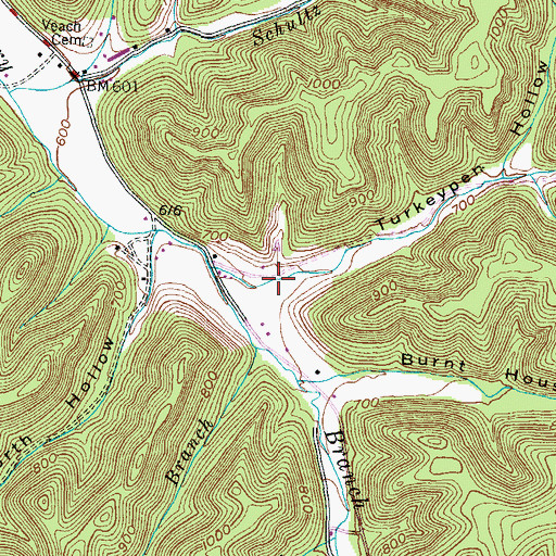 Topographic Map of Turkeypen Hollow, KY
