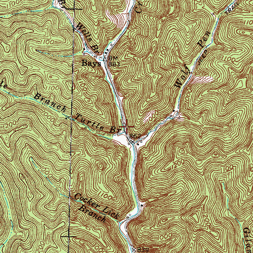 Topographic Map of Turtle Branch, KY