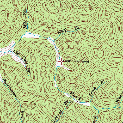 Topographic Map of Twin Hollows, KY