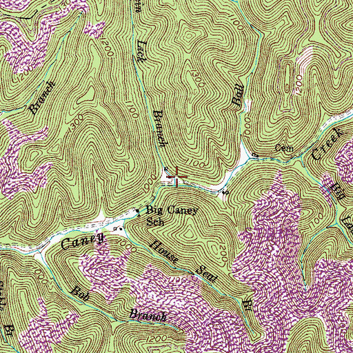Topographic Map of Twin Lick Branch, KY
