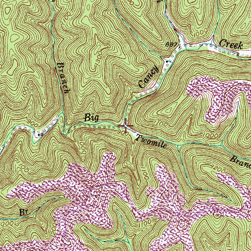 Topographic Map of Twomile Branch, KY