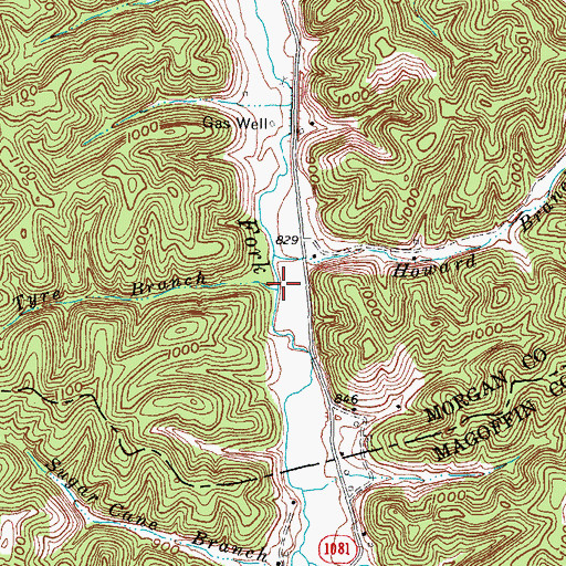 Topographic Map of Tyre Branch, KY