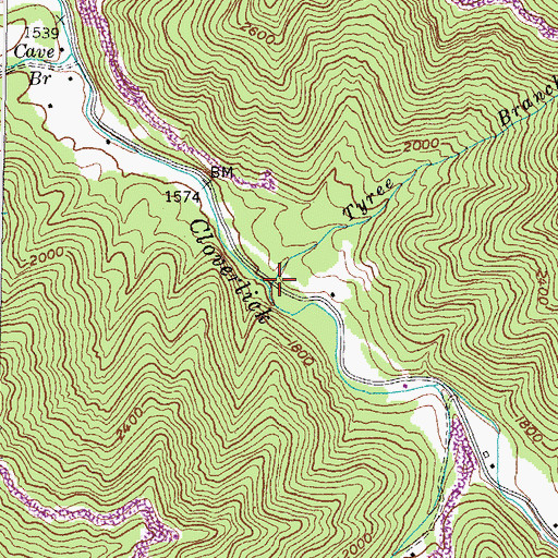 Topographic Map of Tyree Branch, KY