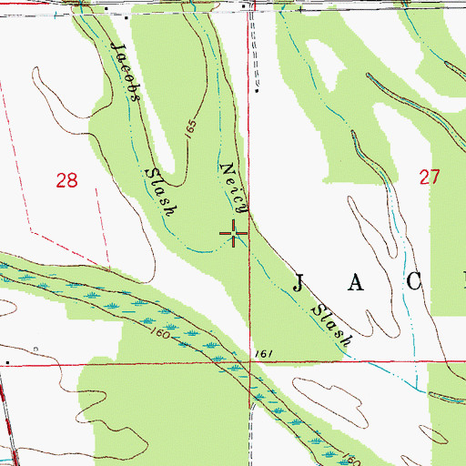 Topographic Map of Jacobs Slash, AR