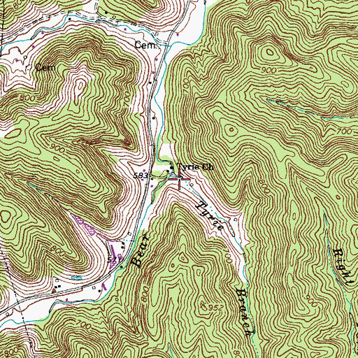 Topographic Map of Tyrie Branch, KY