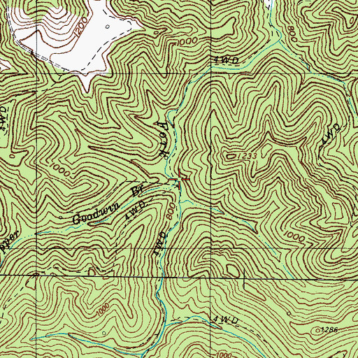 Topographic Map of Upper Goodwin Branch (historical), KY