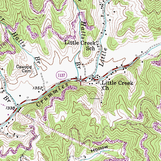 Topographic Map of Upper Halls Branch, KY