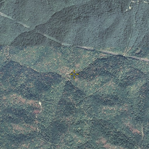 Aerial/Satellite Image of Upper Twin Branch, KY