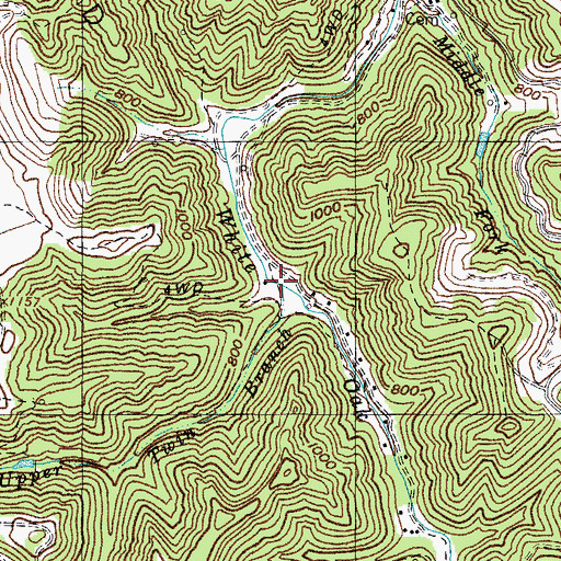 Topographic Map of Upper Twin Branch, KY