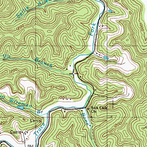 Topographic Map of Vic Branch, KY