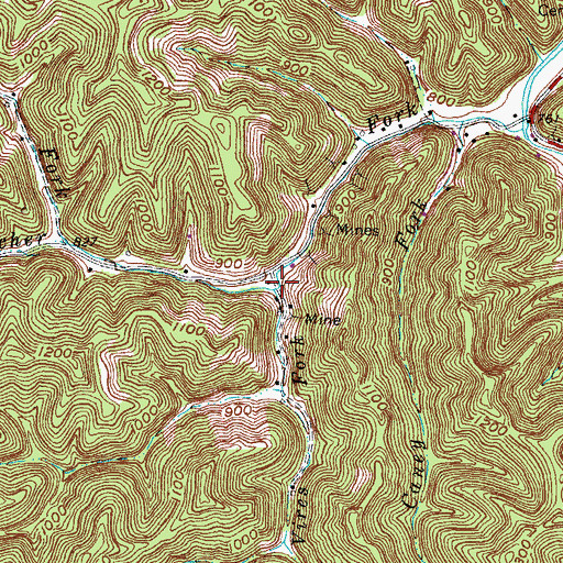 Topographic Map of Vires Fork, KY