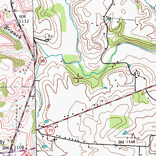 Topographic Map of Warren Branch, KY