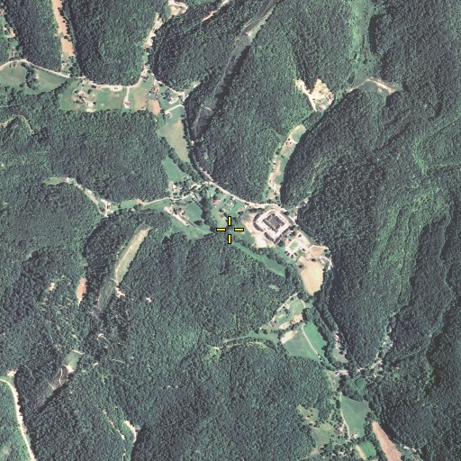 Aerial/Satellite Image of Well Branch, KY