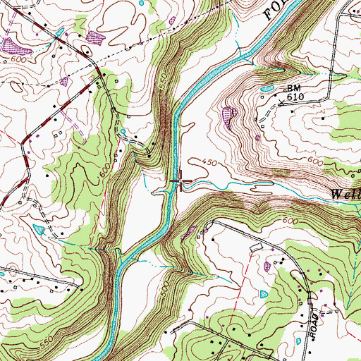 Topographic Map of Wells Run, KY