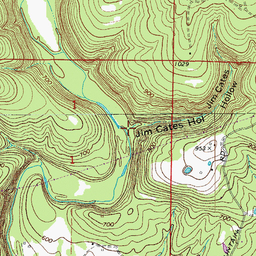 Topographic Map of Jim Cates Hollow, AR