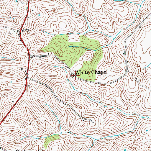 Topographic Map of White Chapel, KY