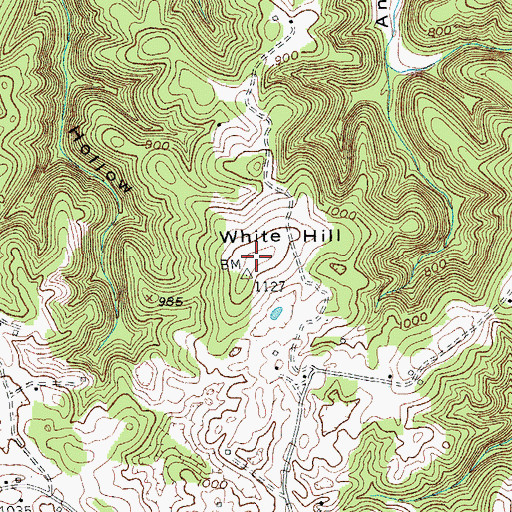 Topographic Map of White Hill, KY