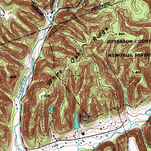 Topographic Map of White Oak Ridge, KY