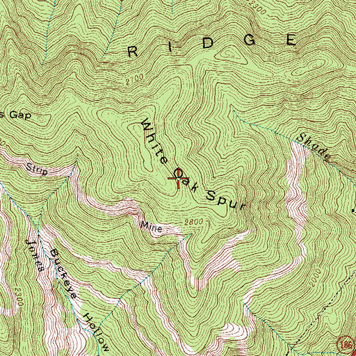 Topographic Map of White Oak Spur, KY