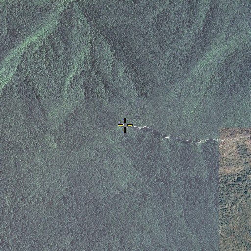 Aerial/Satellite Image of White Rocks, KY
