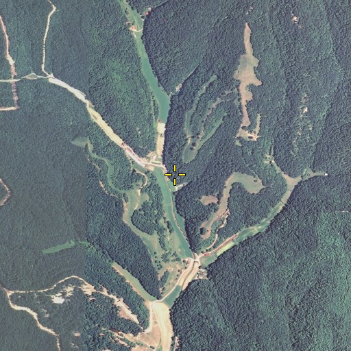 Aerial/Satellite Image of Whiteface Branch, KY