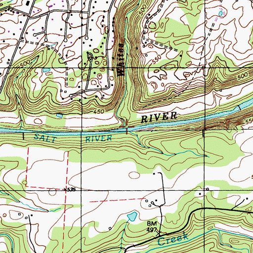 Topographic Map of Whites Run, KY
