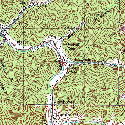 Topographic Map of Widows Branch, KY