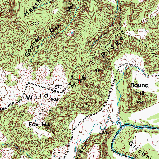 Topographic Map of Wild Hog Ridge, KY