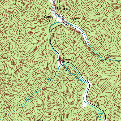 Topographic Map of Wildcat Branch, KY